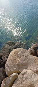 Marco8113 Public Immagine  4