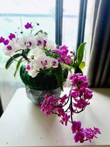 Best_love66のPublicの 2枚の写真