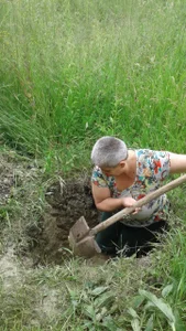 ExquisiteMature Digging an outhouse pit Poză 5