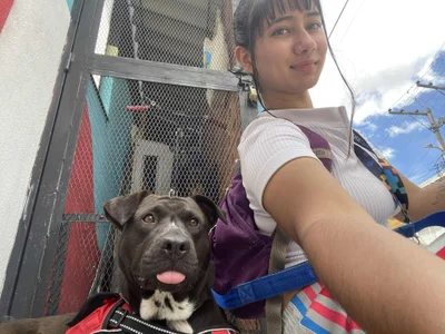 _YumekoJabami_ My hobby outside the platform 🐶🐾 Volunteer in an animal foundation รูป  3