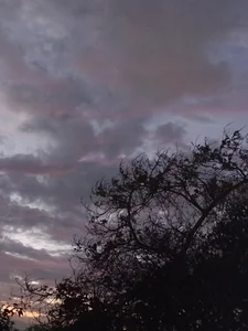 rodovlaz Public صورة واحدة|rodovlaz Public صورتان|rodovlaz Public  4 صور|rodovlaz Public  4 صورة