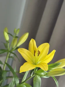 💅🏻💐☕️ od Adell_Love  2 snímek