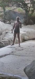 sharpei Public Foto 7