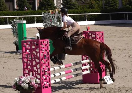 DarlineBrusteraのPublicの 4枚の写真