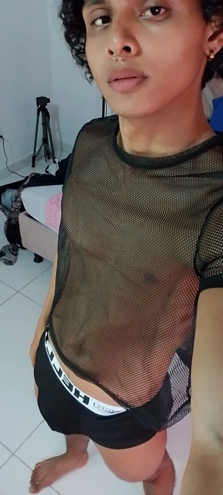 Трендове зображення  241 elio_fox