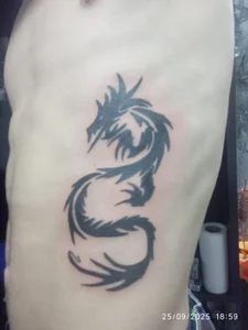 wolfandsky New tattoos 🐉 Bilde 2