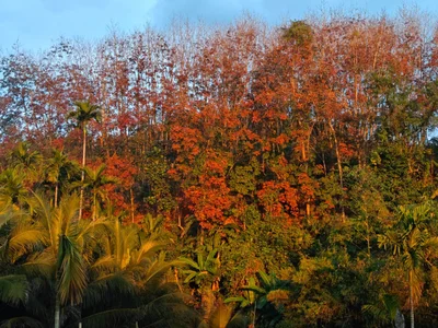 ZJQ-sssのPublicの枚の写真