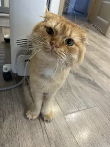 NastyushaaLove me and my beloved Evrik😼 Pic 9