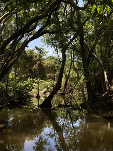 Annycolin_のPalomino - Colombia 🇨🇴の 8枚の写真