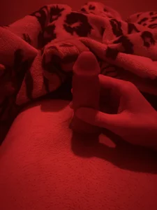 Tazo695 Public зображення