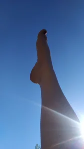 Alice_Sweetyyy: feet and sun ( 2 фото)