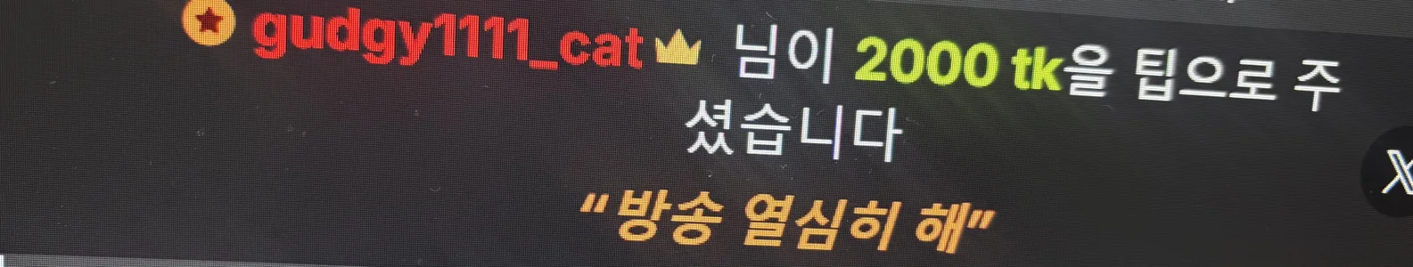 Kor_Cat 내 사랑둥이들 ❤️❤️❤️ 사진 6