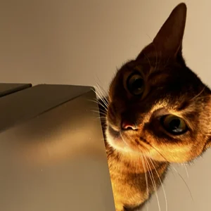 luzdelana My life Bilde