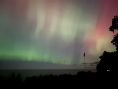 dreamteemer Girl Immagine 