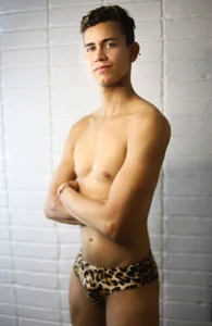 Maximiliano__Fire sexy cheetah 사진