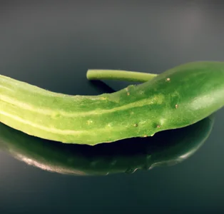 Public de rogue-pickle Foto 2