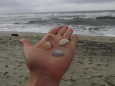 nyx_97 🐚🌊❤️‍🩹 Pic 2