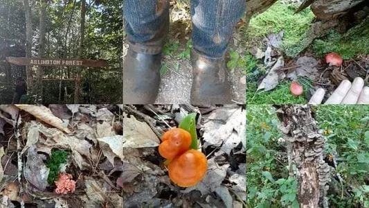 Public de ParisNova Foto 3