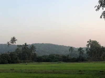 liquid0fluid0 when we was in goa!! Pic 6