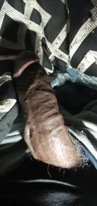 My pic2 de Blkstylion  Imagens