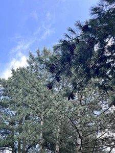 BellaBriggs 🩷🌺👄  4. fénykép