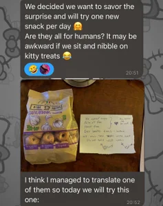 Catharsisi reviews from the owners of my treasures ^^ Pic 8