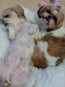 SophiaPottsのPart of meの 3枚の写真