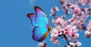 IndianDelia: Public ( фото)