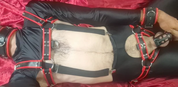 soniccheeseburger Public Kuva