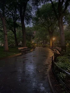 SonjaMonje Spring night Hình 3