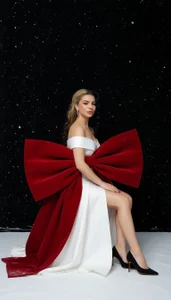 AshleyBrook13 christmass Poză 8