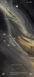 AgitatedStrip9 Hotbeby Immagine 