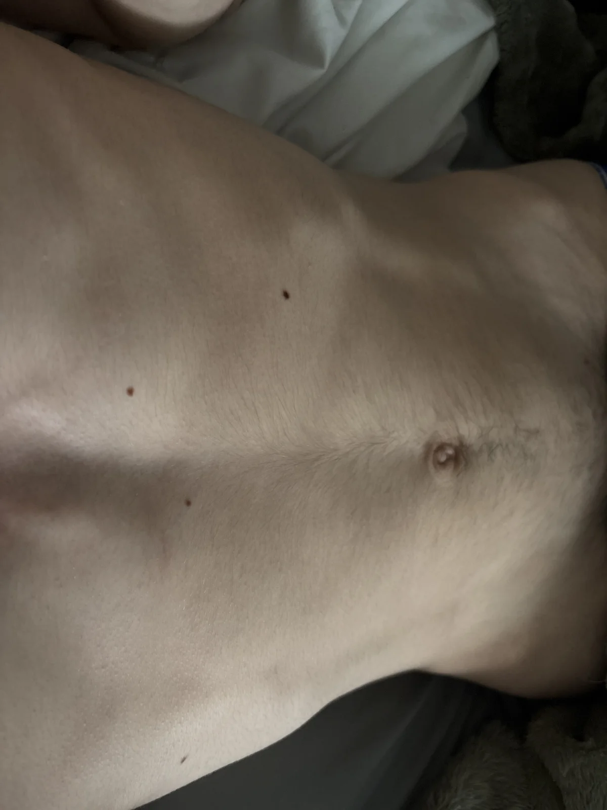 Foto em tendência de tomate53222 1251