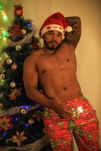 bruno_miller_ Christmas Temptation 2025 🎄 🎁 ❄️ Immagine  6