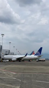 MaxiRogers I love airplanes! I am a flight attendant student Pic