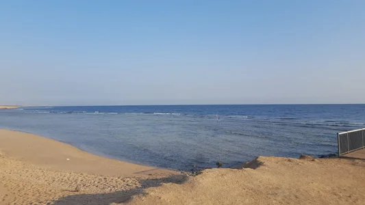 Patzi1 Public รูป  2