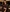 Rosse52's photo