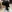 kumamon-'s photo