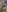 IRIS NAKED (PACK FOR 15 PHOTOS)