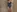 Tease