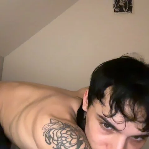 palm1stry Foto en Tendencia 3096