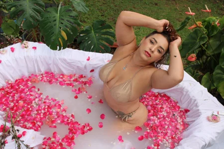 sahara_paker between petals and roses ❣ รูป  5