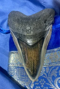 SwordStallionVibes Crystals 🔮✨✨✨🙌 Foto 7