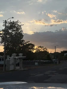 Mira lo que tengo para ofrecer