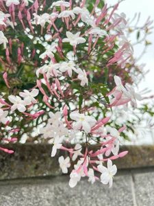mio3-ch Public Immagine  4