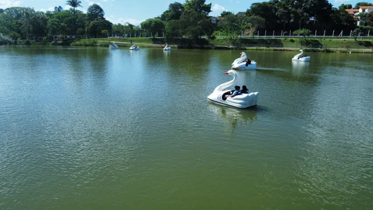 Public de Bcbom  Imagens