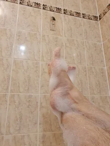 Feet in the bathtub od Chcitoodtebe  7 snímek