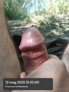 Pomeriggio outdoor, manca solo.. de common47 Foto 2