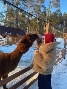 Public de AmilyMoore  2 photos