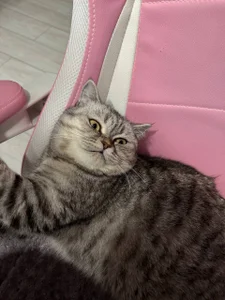 ShaiyaMinn3 Bun Foto 7